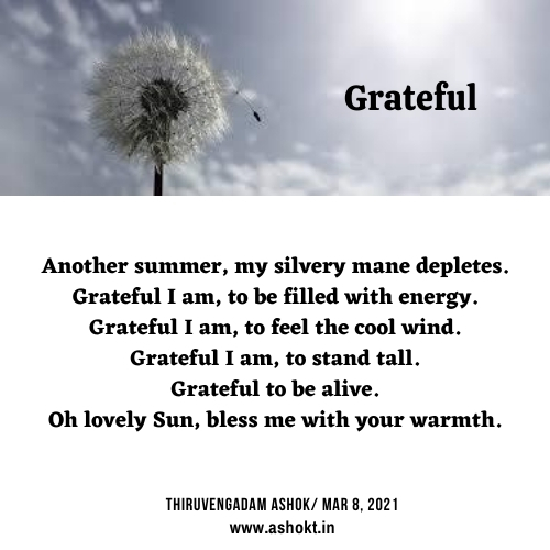 Grateful poem