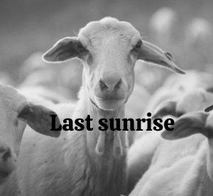 Last sunrise poem
