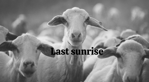 Last sunrise poem